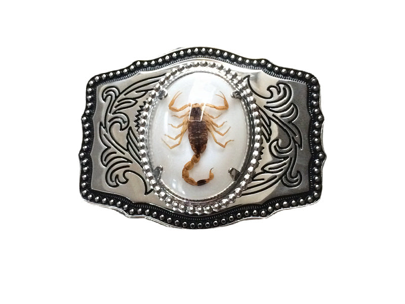 Fibbia per cintura in argento tedesco Scorpione, fibbia solida fatta a mano con segno zodiacale astrologico e oroscopo dello Scorpione, per cintura casual da uomo e da donna. - Italia Fibbia per cintura in argento tedesco Scorpione, fibbia solida fatta a mano con segno zodiacale astrologico e oroscopo dello Scorpione, per cintura casual da uomo e da donna. - Italia